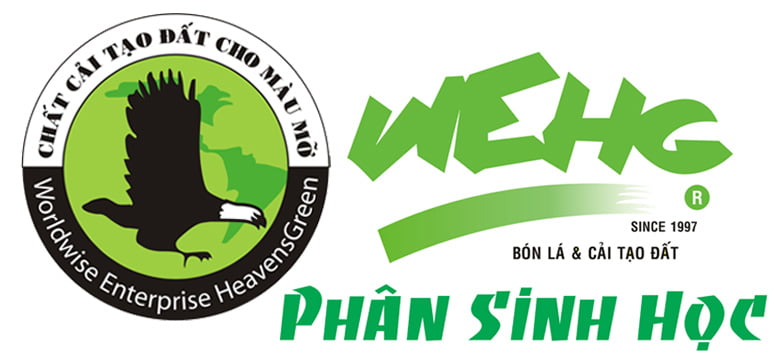 CÔNG TY CỔ PHẦN THẾ GIỚI THÔNG MINH