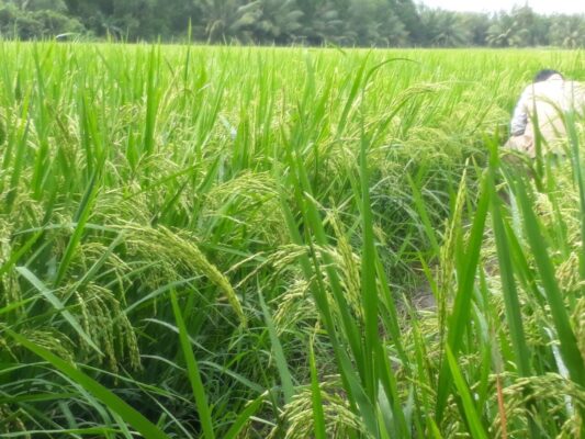 Z5468028944002 4daba5ffb73a6b166ef60bc7d5e42ad7